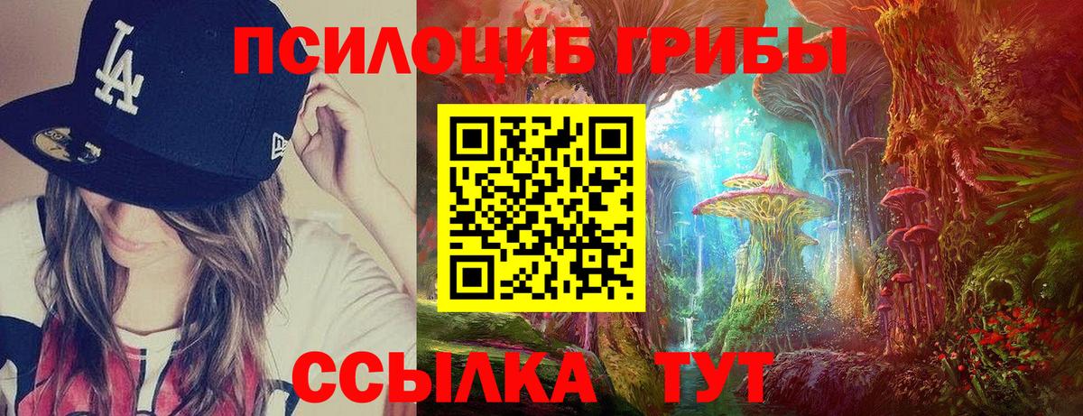 Псилоцибиновые грибы мицелий  что такое наркотик  Михайловск  Псилоцибиновые грибы Psilocybine cubensis  Вход с VPN 